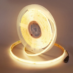 LED STRIP COB